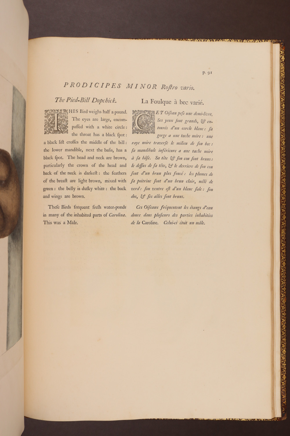 Page 91